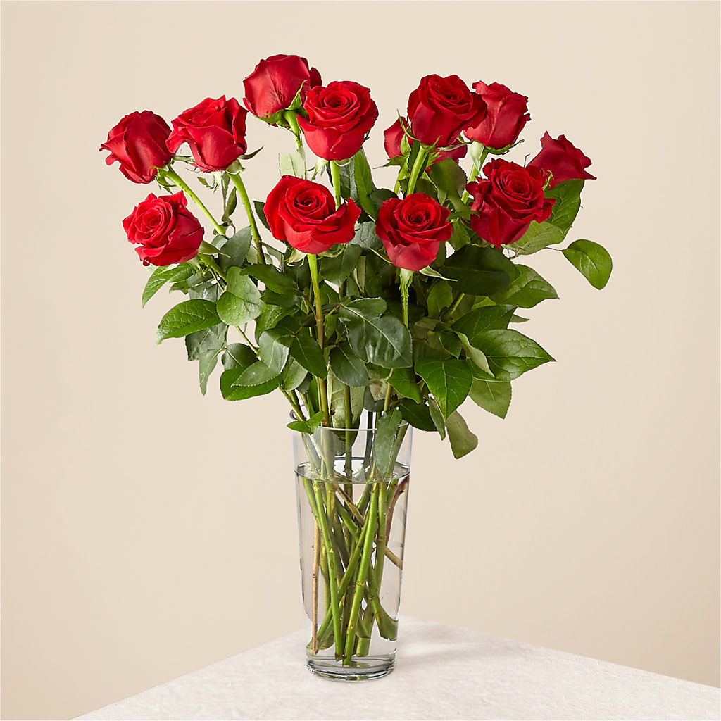 Long Stem Red Rose Bouquet – MAGNOLIA'S FLOWER SHOP INC, Garden City MI