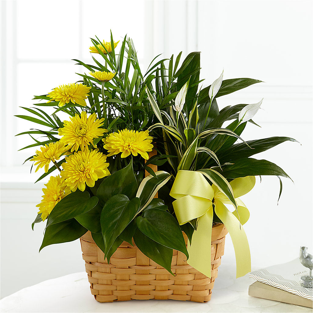 Loving Light Dishgarden – MAGNOLIA'S FLOWER SHOP INC, Garden City MI