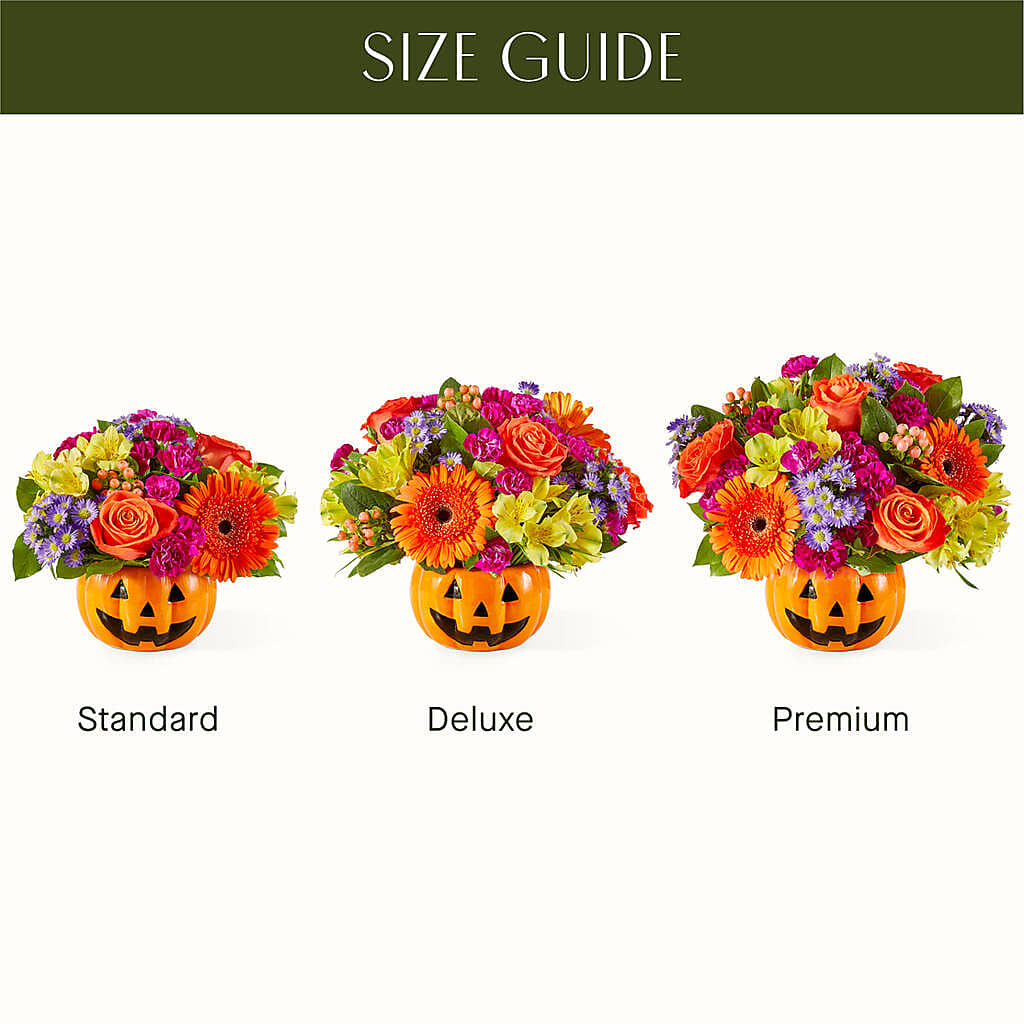 Tricks & Treats Pumpkin – MAGNOLIA'S FLOWER SHOP INC, Garden City MI