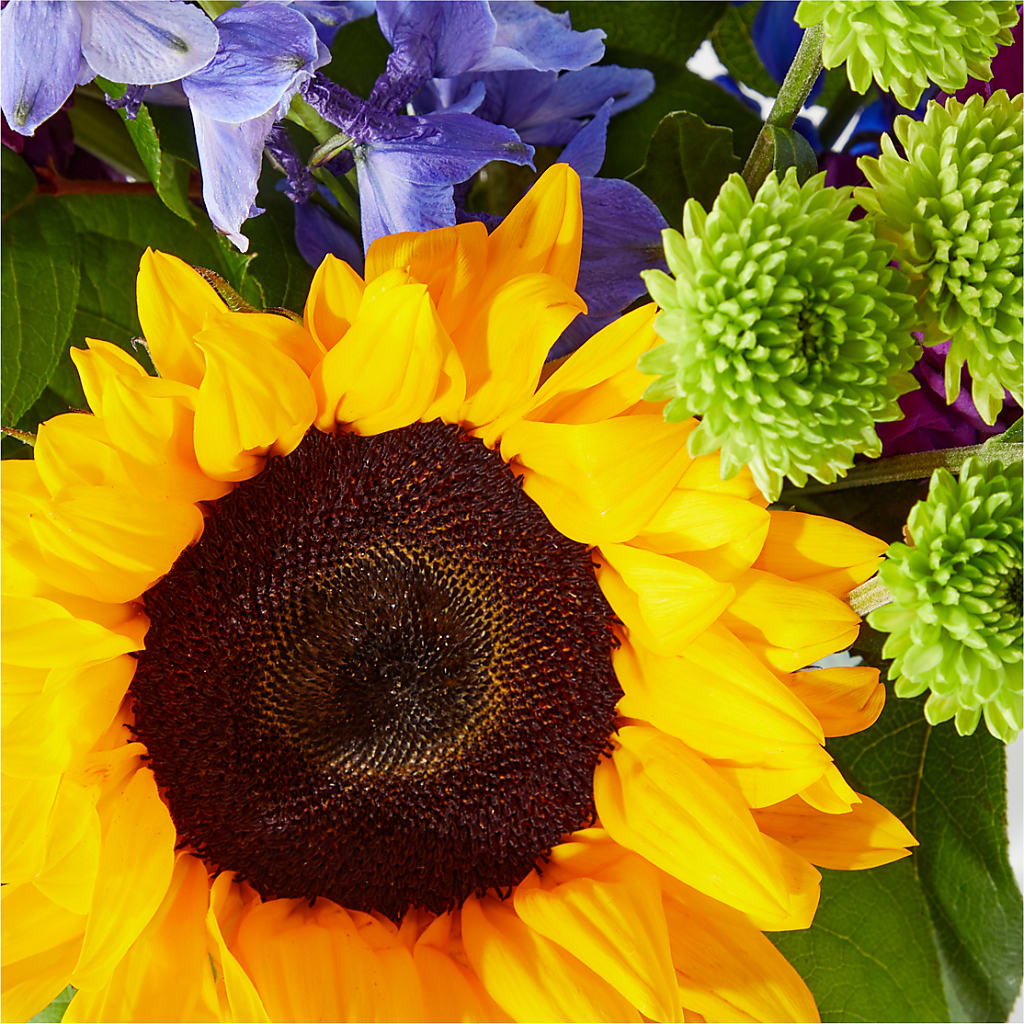 Catching Rays Bouquet – MAGNOLIA'S FLOWER SHOP INC, Garden City MI