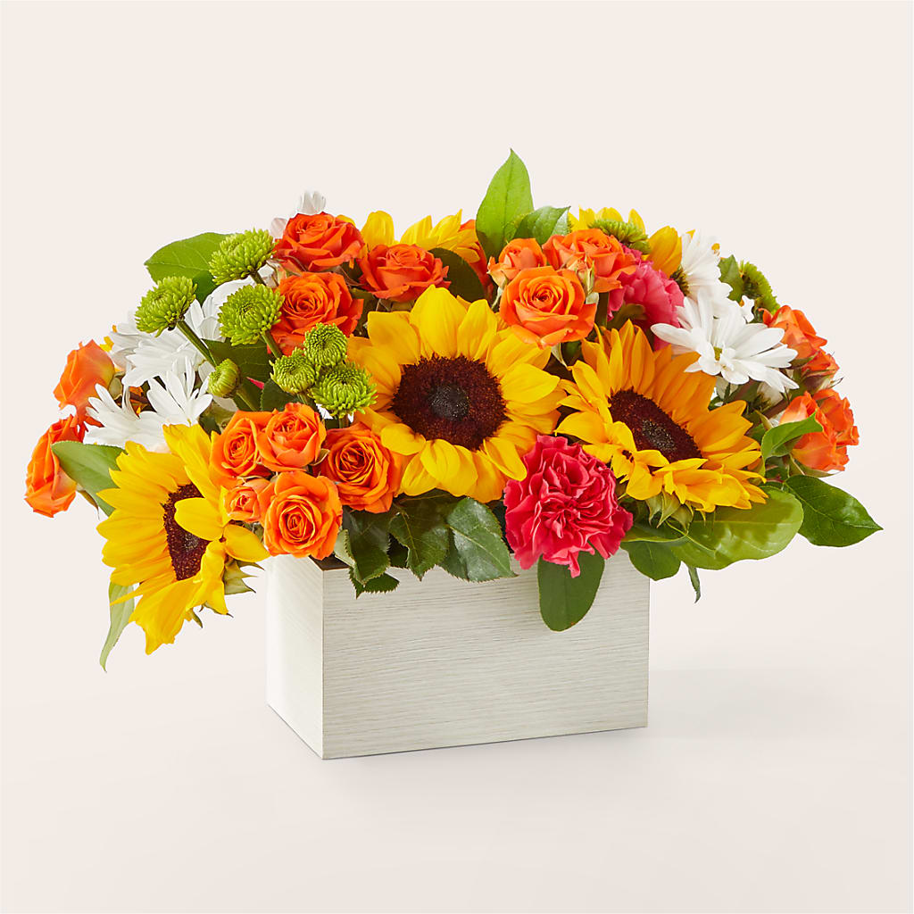 Sun-drenched Blooms Box Bouquet – MAGNOLIA'S FLOWER SHOP INC, Garden City MI