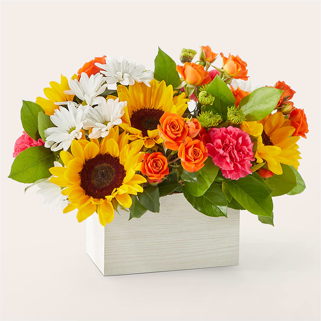 Sun-drenched Blooms Box Bouquet – MAGNOLIA'S FLOWER SHOP INC, Garden City MI
