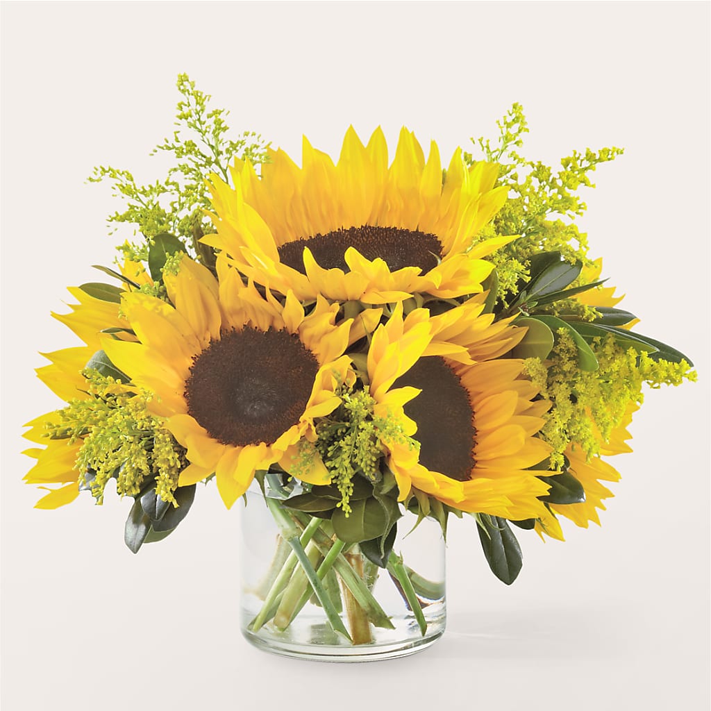 Beaming Sunflower Bouquet – MAGNOLIA'S FLOWER SHOP INC, Garden City MI