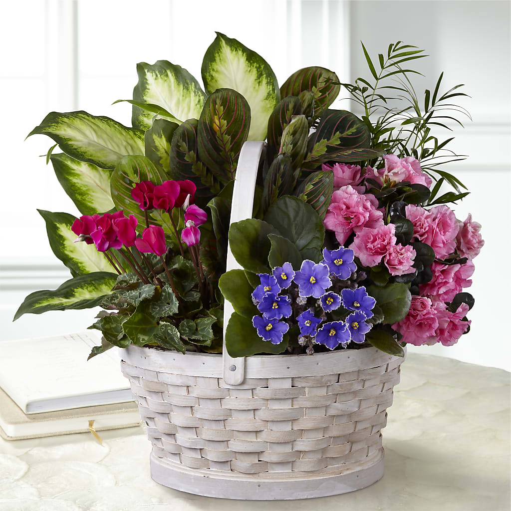 Peaceful Garden Planter – MAGNOLIA'S FLOWER SHOP INC, Garden City MI