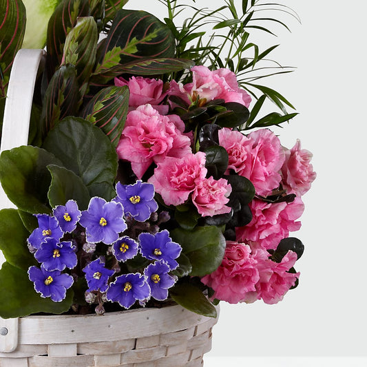 Peaceful Garden Planter – MAGNOLIA'S FLOWER SHOP INC, Garden City MI