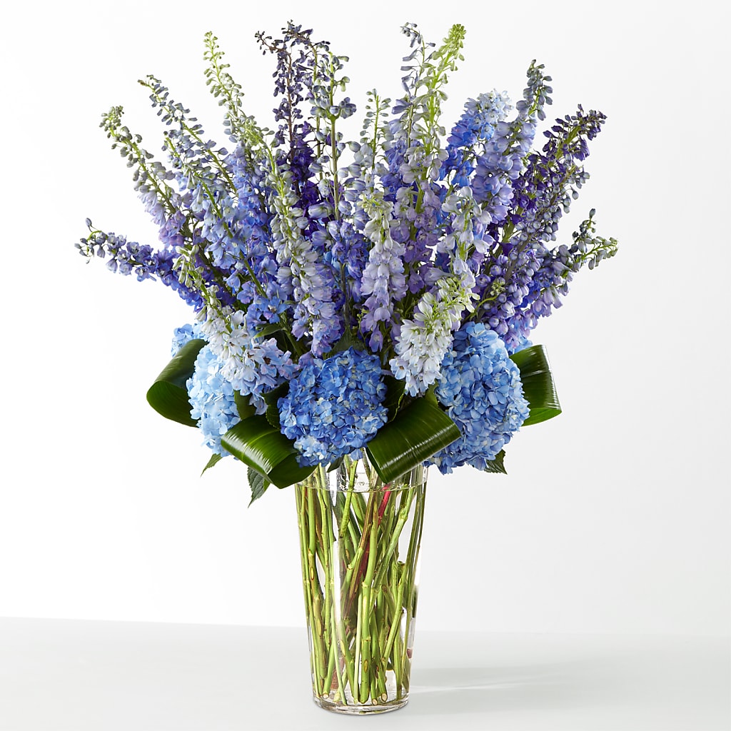 The Editorial – MAGNOLIA'S FLOWER SHOP INC, Garden City MI