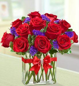 Modern Roses - One Dozen Red