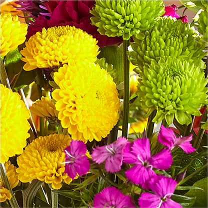 Bold & Bright – A Florist Original – MAGNOLIA'S FLOWER SHOP INC, Garden City MI