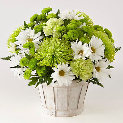 Lucky Charm Basket (Standard) – MAGNOLIA'S FLOWER SHOP INC, Garden City MI