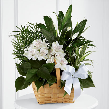 Peace & Serenity Dishgarden – MAGNOLIA'S FLOWER SHOP INC, Garden City MI