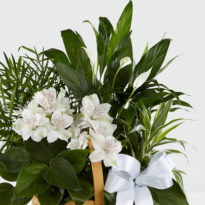Peace & Serenity Dishgarden – MAGNOLIA'S FLOWER SHOP INC, Garden City MI
