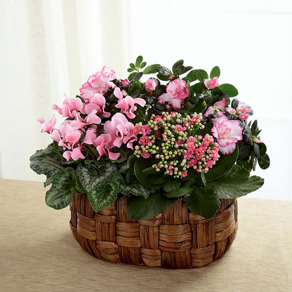 Pink Assortment – MAGNOLIA'S FLOWER SHOP INC, Garden City MI