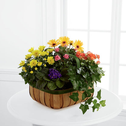 Gentle Blossoms Basket – MAGNOLIA'S FLOWER SHOP INC, Garden City MI