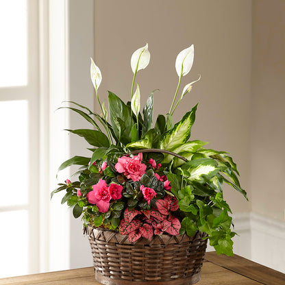 Dream in Pink Dishgarden – MAGNOLIA'S FLOWER SHOP INC, Garden City MI