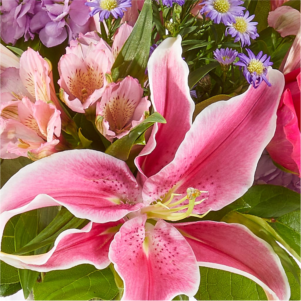 Written in the Stars Bouquet – MAGNOLIA'S FLOWER SHOP INC, Garden City MI