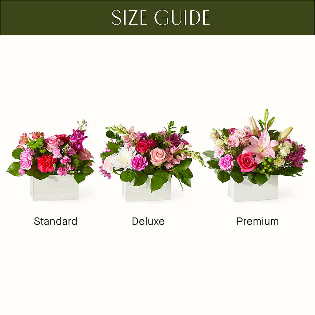 Sweetberry Box – A Florist Original – MAGNOLIA'S FLOWER SHOP INC, Garden City MI