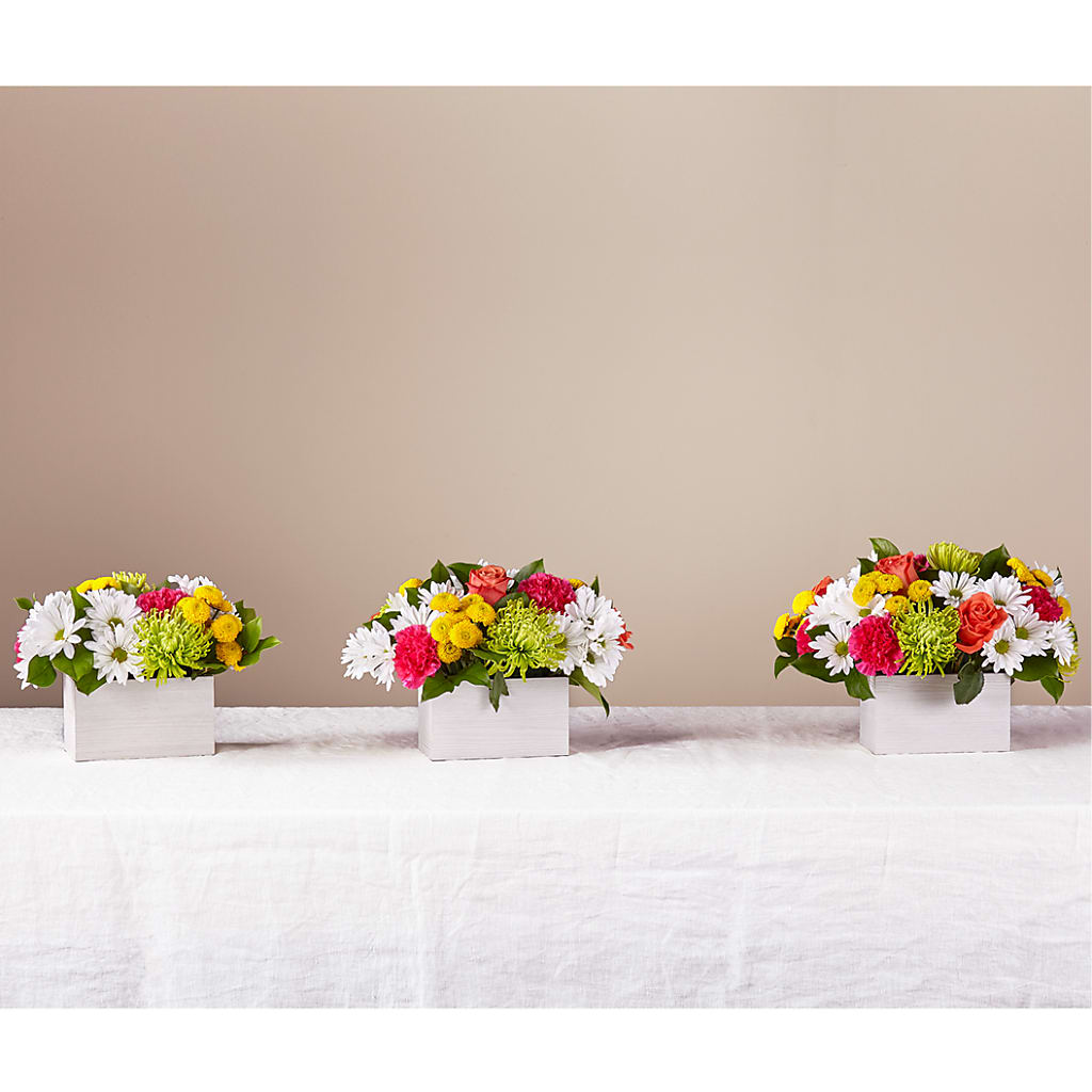 Sorbet Bouquet – MAGNOLIA'S FLOWER SHOP INC, Garden City MI