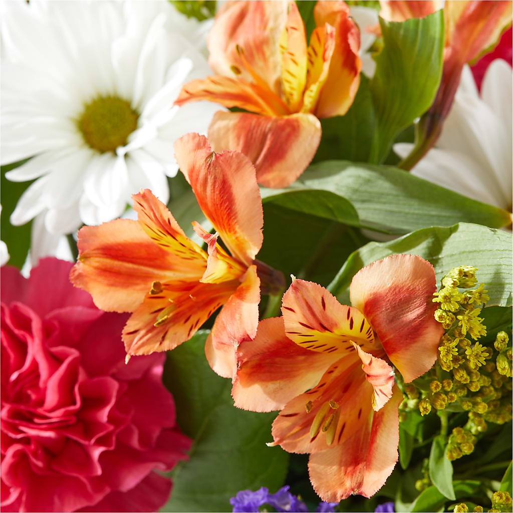 Oopsie Daisy Box Bouquet – MAGNOLIA'S FLOWER SHOP INC, Garden City MI