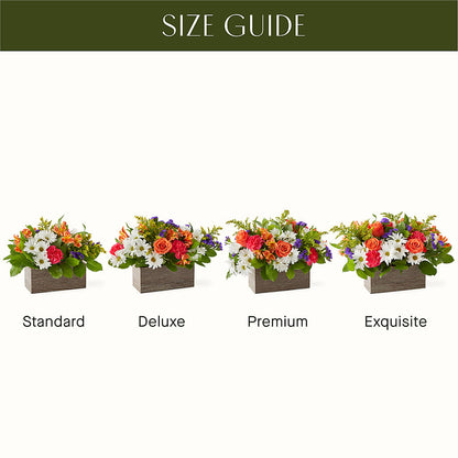 Oopsie Daisy Box Bouquet – MAGNOLIA'S FLOWER SHOP INC, Garden City MI