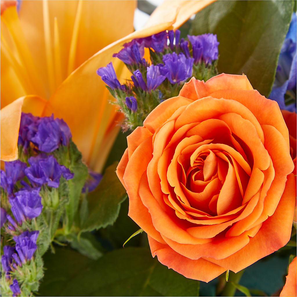 Radiant Citrus Box Bouquet – MAGNOLIA'S FLOWER SHOP INC, Garden City MI