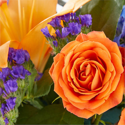 Radiant Citrus Box Bouquet – MAGNOLIA'S FLOWER SHOP INC, Garden City MI