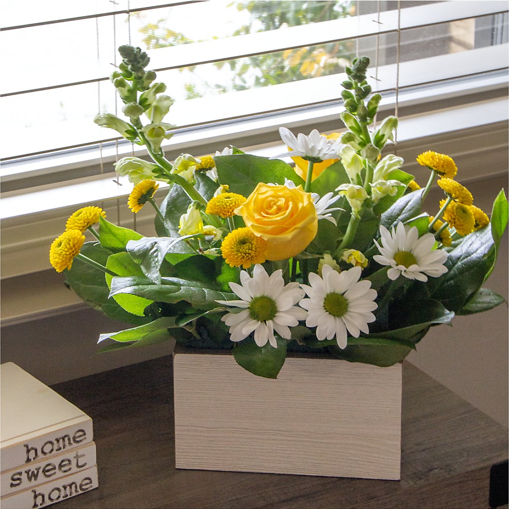 Sun Salutation Box Bouquet – MAGNOLIA'S FLOWER SHOP INC, Garden City MI