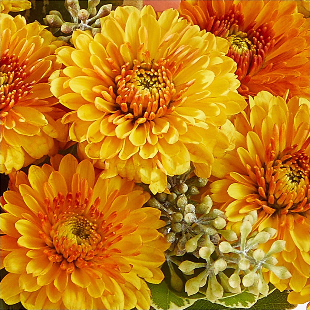 Peachy Pumpkin – MAGNOLIA'S FLOWER SHOP INC, Garden City MI