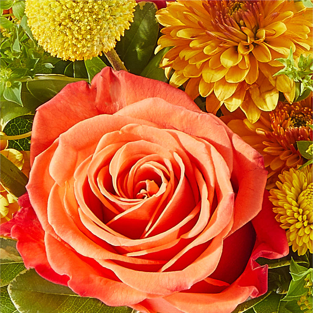 Gourdgeous Pumpkin – MAGNOLIA'S FLOWER SHOP INC, Garden City MI
