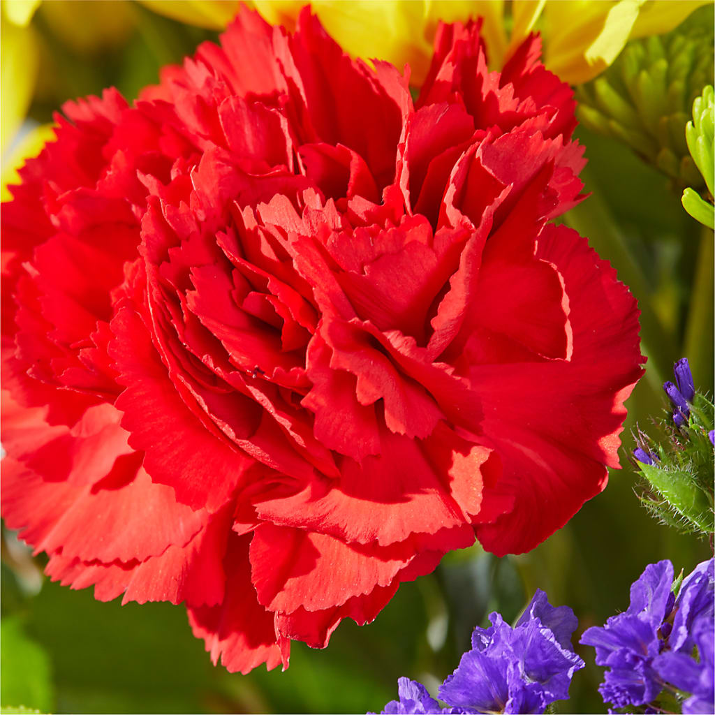 Brighter Days Bouquet – MAGNOLIA'S FLOWER SHOP INC, Garden City MI