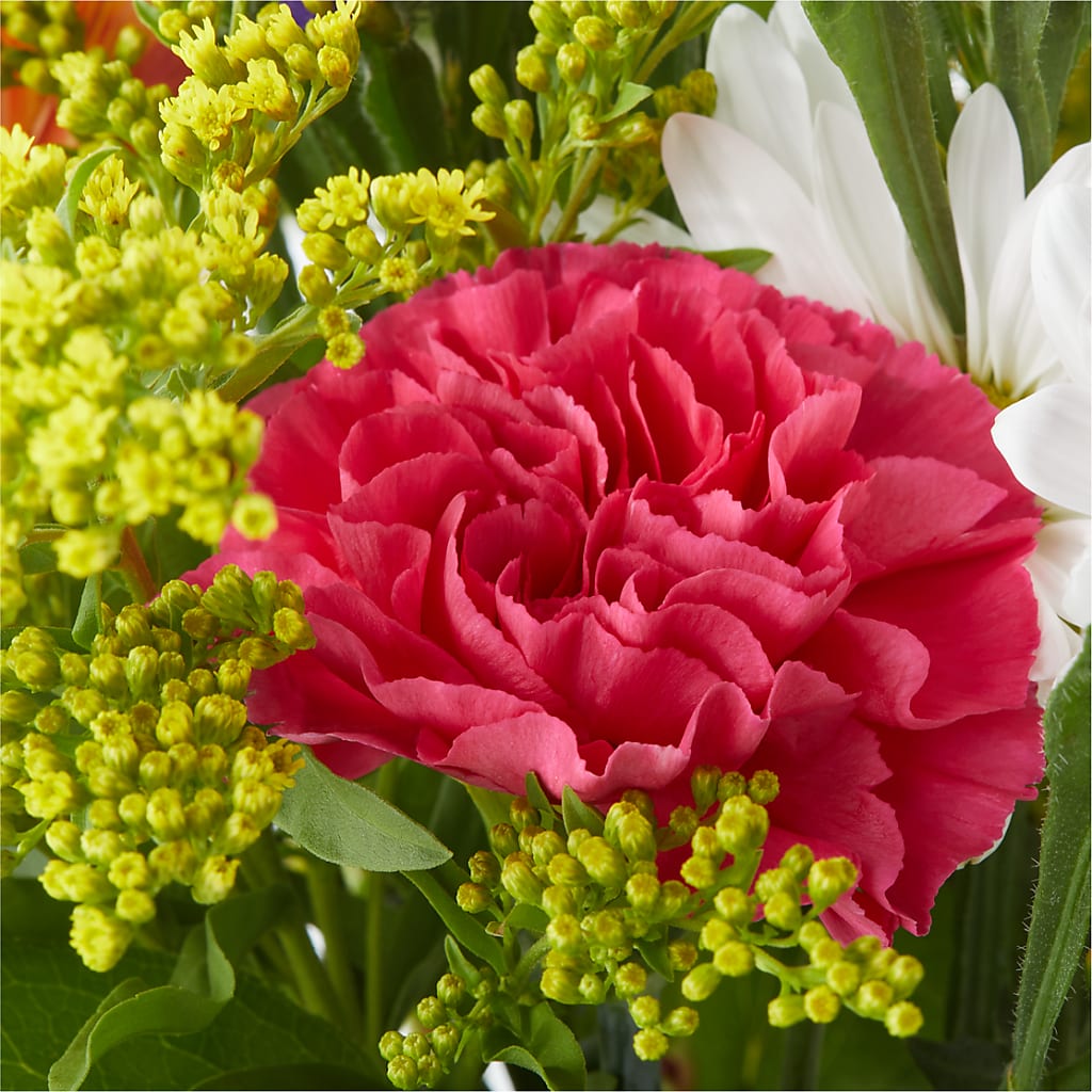 Oopsie Daisy Bouquet – MAGNOLIA'S FLOWER SHOP INC, Garden City MI