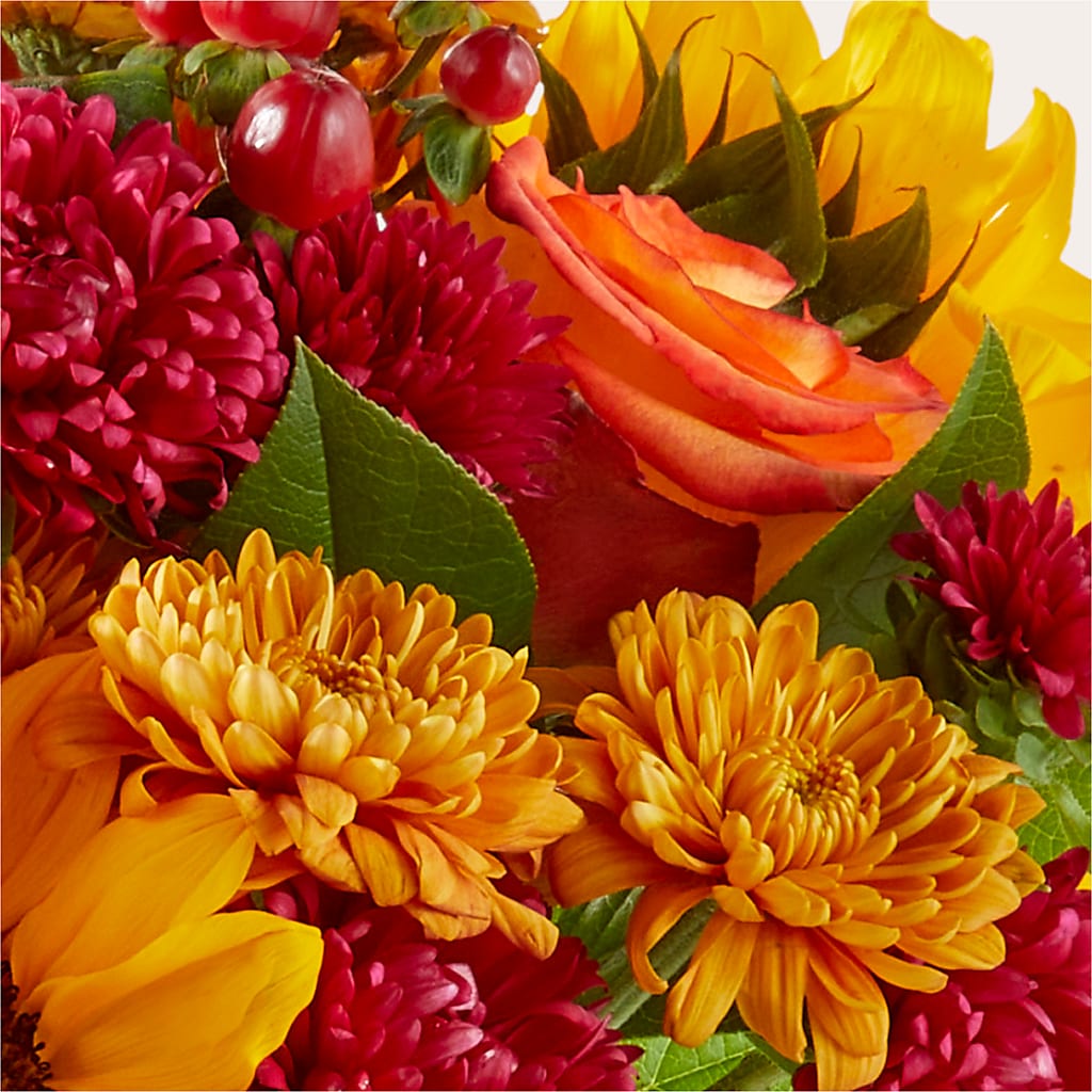 Sweater Season - A Florist Original – MAGNOLIA'S FLOWER SHOP INC, Garden City MI