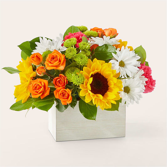 Sun-drenched Blooms Box Bouquet – MAGNOLIA'S FLOWER SHOP INC, Garden City MI
