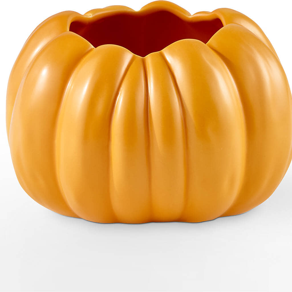 Golden Gourd Pumpkin Bouquet – MAGNOLIA'S FLOWER SHOP INC, Garden City MI