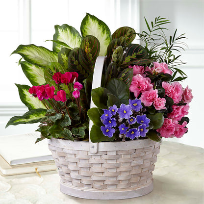 Peaceful Garden Planter – MAGNOLIA'S FLOWER SHOP INC, Garden City MI