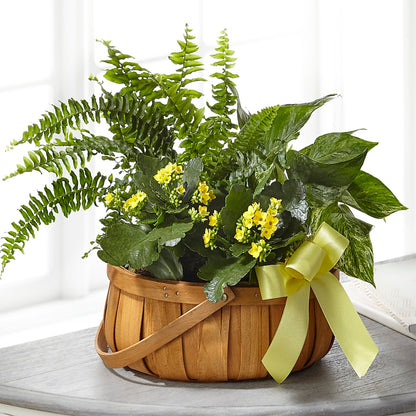 Always Dear Dishgarden – MAGNOLIA'S FLOWER SHOP INC, Garden City MI