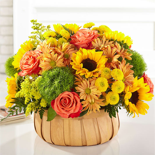 Harvest Sunflower Basket – MAGNOLIA'S FLOWER SHOP INC, Garden City MI