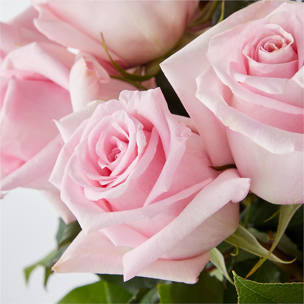 Picture Perfect Pink Rose Bouquet – MAGNOLIA'S FLOWER SHOP INC, Garden City MI