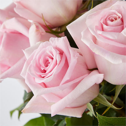 Picture Perfect Pink Rose Bouquet – MAGNOLIA'S FLOWER SHOP INC, Garden City MI