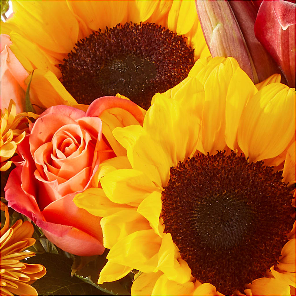 Acorn Lane Bouquet – MAGNOLIA'S FLOWER SHOP INC, Garden City MI
