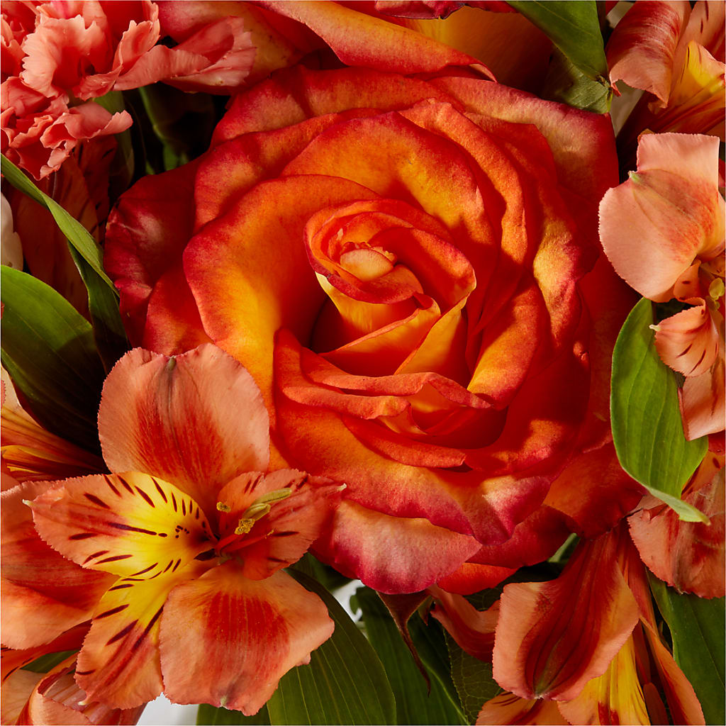 Apricot Glow Bouquet – MAGNOLIA'S FLOWER SHOP INC, Garden City MI