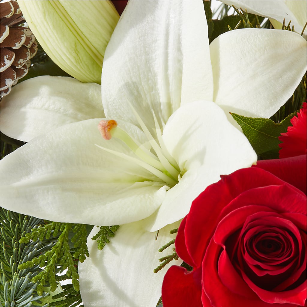 Oh So Jolly Bouquet – MAGNOLIA'S FLOWER SHOP INC, Garden City MI