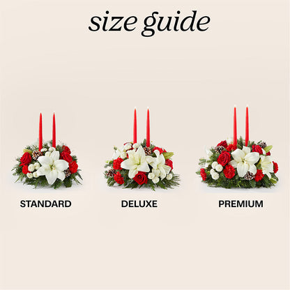 Seasonal Festivities Centerpiece – MAGNOLIA'S FLOWER SHOP INC, Garden City MI
