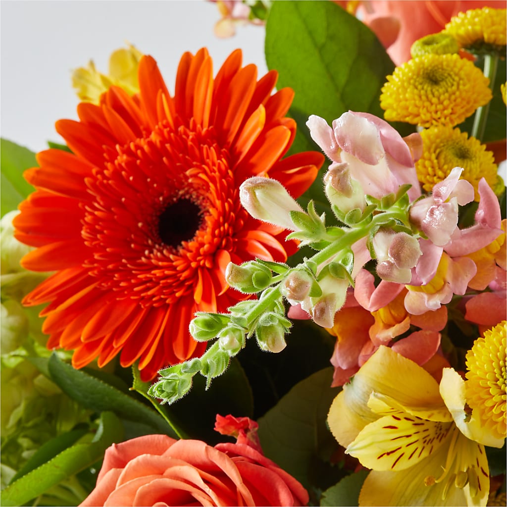 Autumn Sunshine Bouquet – MAGNOLIA'S FLOWER SHOP INC, Garden City MI