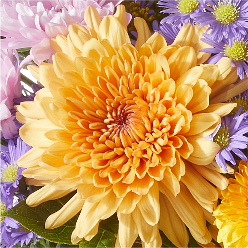 Countryside Bouquet – MAGNOLIA'S FLOWER SHOP INC, Garden City MI