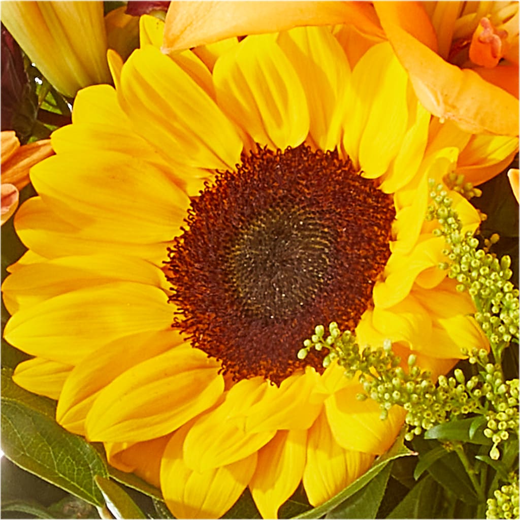 Seasons Change Bouquet – MAGNOLIA'S FLOWER SHOP INC, Garden City MI
