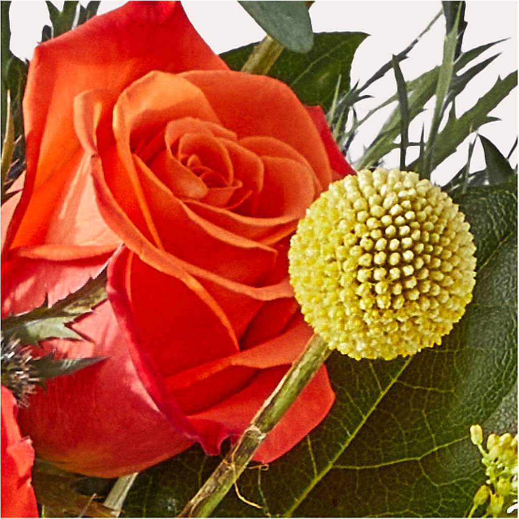 Disco Bouquet – MAGNOLIA'S FLOWER SHOP INC, Garden City MI