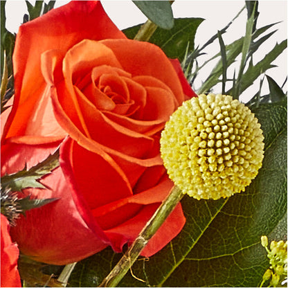 Disco Bouquet – MAGNOLIA'S FLOWER SHOP INC, Garden City MI