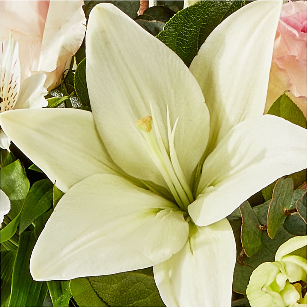 Ballet Slippers Bouquet – MAGNOLIA'S FLOWER SHOP INC, Garden City MI