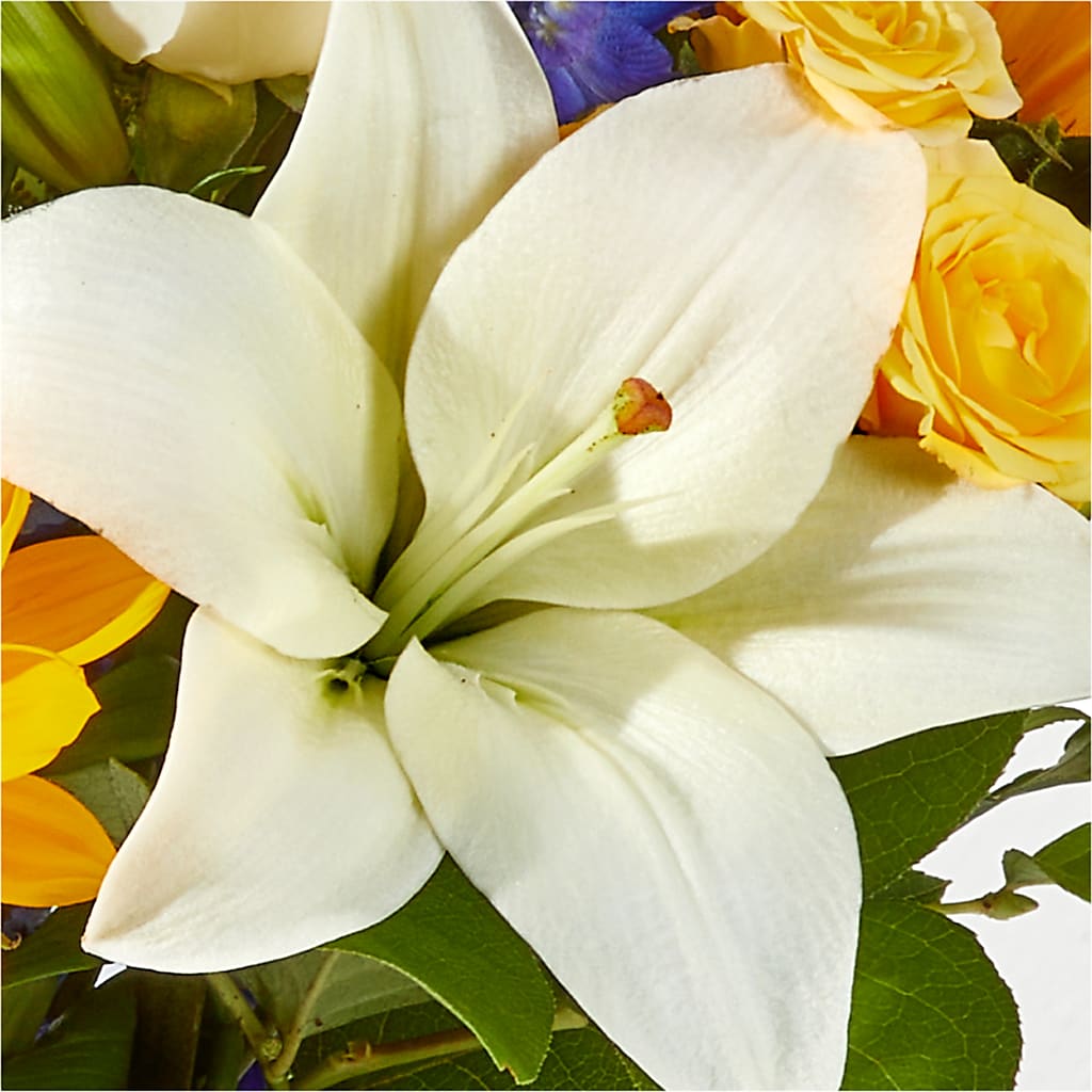 Wonderfully Sunny Bouquet – MAGNOLIA'S FLOWER SHOP INC, Garden City MI