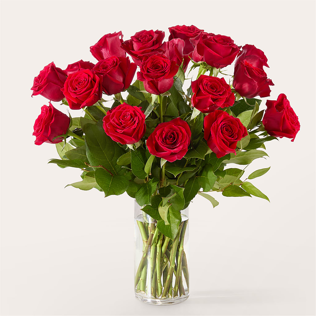 The One Red Rose Bouquet – MAGNOLIA'S FLOWER SHOP INC, Garden City MI